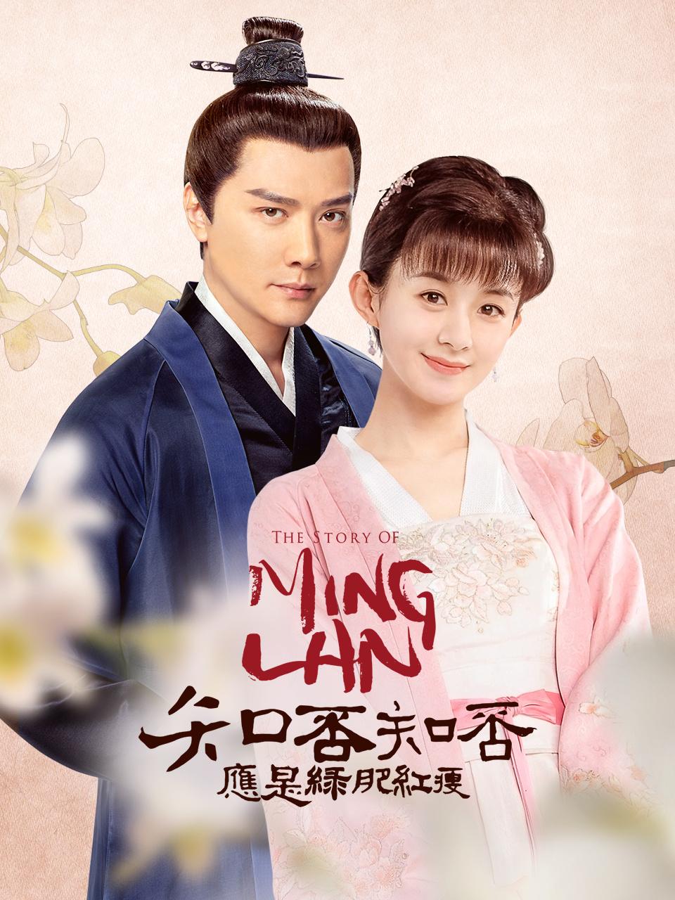 知否知否应是绿肥红瘦 DVD版