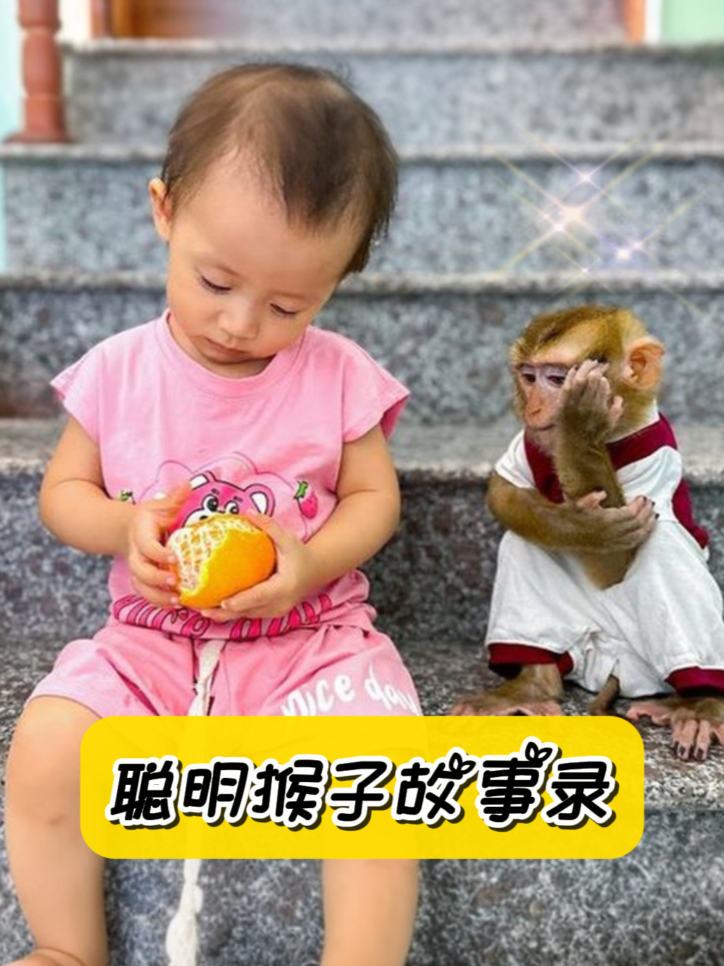 成本人视频免费高清