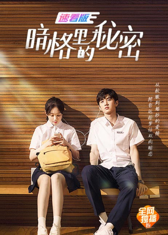 暗格里的秘密 速看