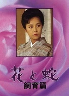 两个人暧昧BGM嘟嘟噜嘟嘟嘟噜