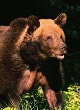 我不怕上幼儿园